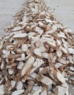 Dried Cassava Chips