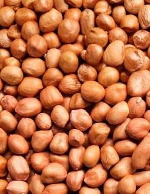 Peanut Kernels