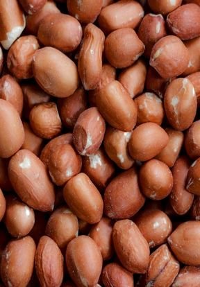 Agricultural Export Products